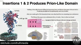 Dr Fleming: AIDS (HIV) inserted into CV19- Spike crosses Blood-Brain Barrier causing Alzheimers