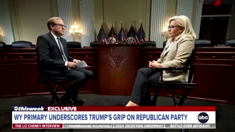 Liz Cheney commits to campaign against 'election deniers'