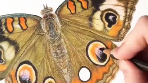 painting butterfly beautiful short video/trending/drawing