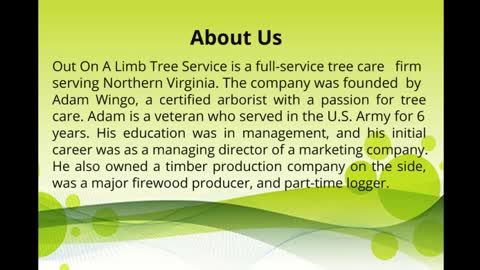 Tree Removal Services in Fairfax VA