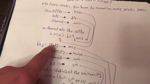 How to learn Arabic ?