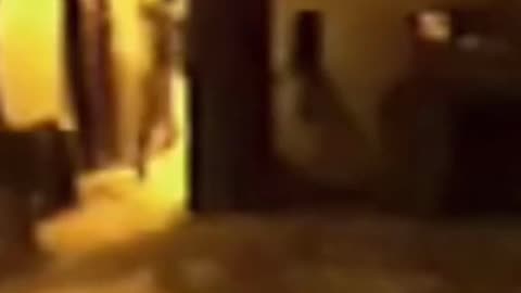 Footage of an alien humanoid was captured