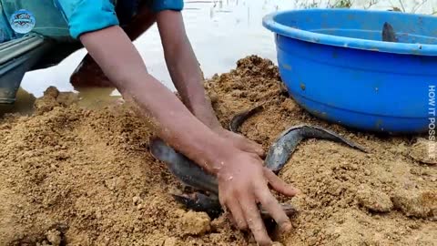 Unbelievable Technique Daily Life Fishing Video In River Dry Place Underground Secret Hole
