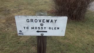 Groveway to Mossy Glen