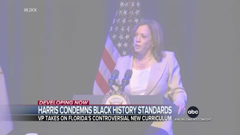 Harris condemns Florida school slavery curriculum _ WNT