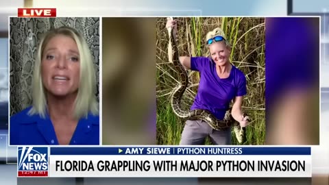 'Python Huntress' helps Florida tackle slithering reptile invasion