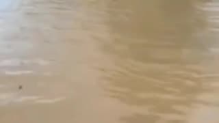 A massive flood