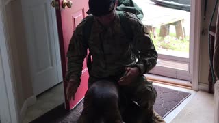 Airman Surprises His Furry Friend After 6 Months Away