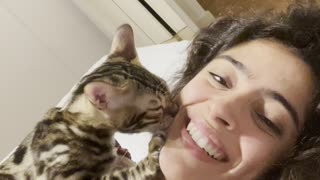 Pet Cat Kisses and Suckles on Owners Face
