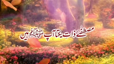 Mustafa e zat e sakta ap hen by Qari Haris Raza Qadri || @qariharisrazaqadri