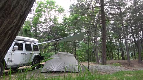 What will come out- Camping alone in the deep woods under the tarp overnight