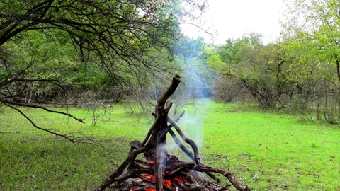 FOREST CAMPFIRE AMBIENCE 🔥 Relaxing Sleep Bonfire Cracking Sounds, Burning Fire Woods Sounds