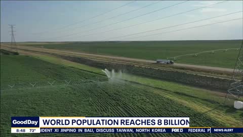 Global population to hit 8 billion