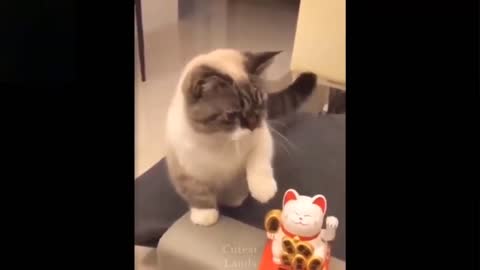 Cat imitates Maneki-neko