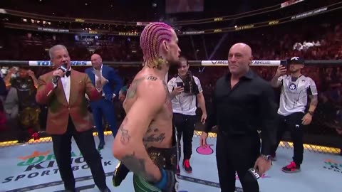 Sean O'Malley's Spectacular KO Against Aljamain Sterling at UFC 292 Rocks Rumble!