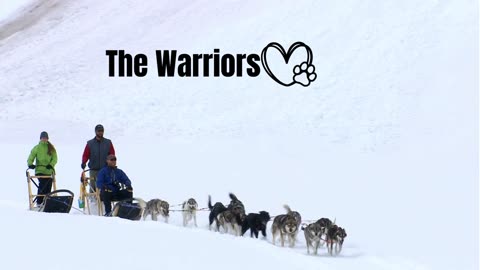 The Warriors are here - Dogs