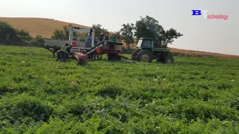 Quirky Agricultural Harvest Machines, Harvest Pumpkins, Watermelon