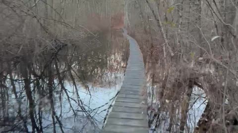 Mountain Bike Ride Through The Forest