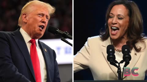 Trump Warns of ‘Great Depression of 2024’ After ‘Kamala Crash’