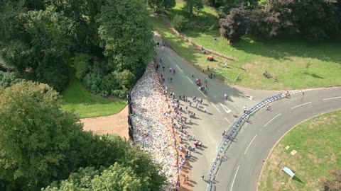 Aerial of Sandringham Flowers