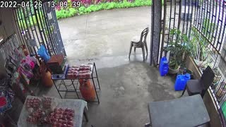 Sneaky Dog Steals Food