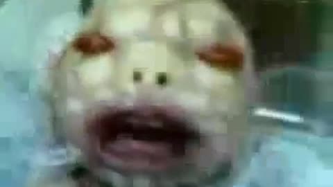 REPTILIAN HYBRID INFANT (mirrored)(This is bizarre)