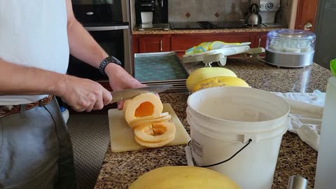 FOREVER Mango Fruit Freeze Drying on the Farm