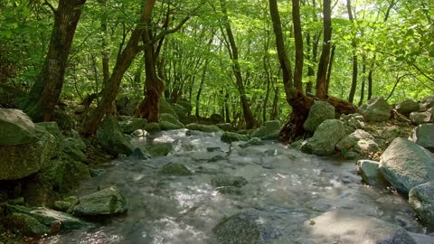 4K STRESS RELEASING NATURE'S SOUNDS