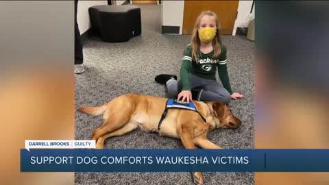 Support dog comforts Waukesha parade attack victims_2