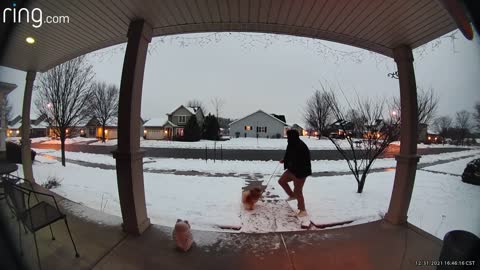 Dog Walker Slips on Ice