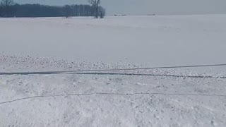 Amish Horse and Buggy Pull Skier