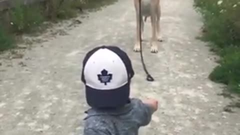 Dog follow the Little Kid