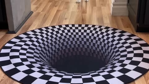 Dogs funny reaction to entering optical illusion rug!