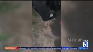 16 Year old Black Teen beaten, stabbed at Dockweiler Beach by a Group of Hispanics