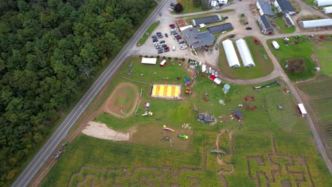 Corn Field Landscape