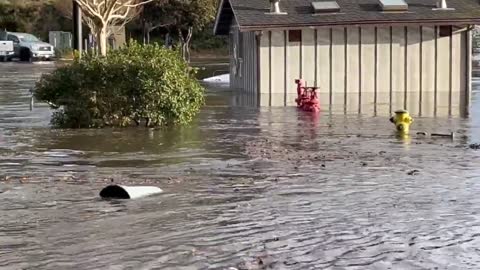 Tsunami waves from Tonga arrive in California