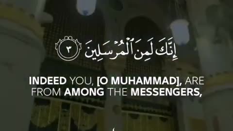 Surah YaSeen with translation | Ayah 1-6 | Quran Recitation status video | islamic video #tilawat