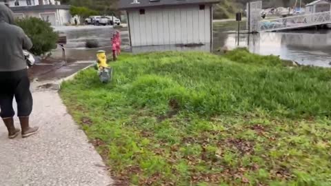 TSUNAMI waves from Tonga arrive in California.