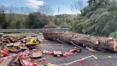 Farmers in spain are now dumping trees on the highway as anti eu protests continue