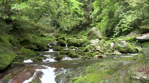 "Avatar" Mountain & Wulingyuan Scenic Area