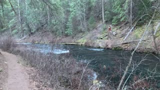 Underappreciated Metolius River – Central Oregon – 4K