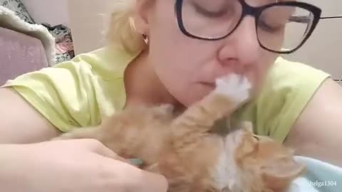 You'll Get A Cat After Watching This ❤️️ Cute Cats Showing Love To Their Owner