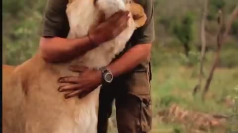 Lion Man: Kevin Richardson | South Africa