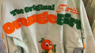 Walt Disney World Epcot Flower and Garden Festival 2024 Florida Orange Bird Jersey #shorts