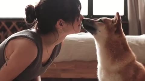 Funny Dog Kissing Girl !! 2023