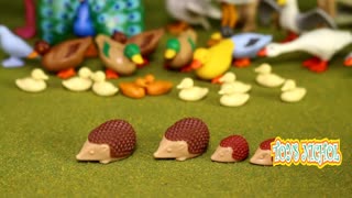 Hedgehogs and Geese Playing Together with Crocodiles in the Garden