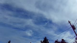 Chemtrails and white vinegar 10/21/23: