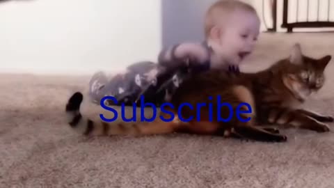 Toddler playing with a cat