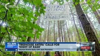 Atlanta's "treehouse Antifa": "If they're in trees, and won't get out, cut the trees down."