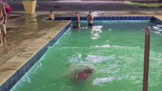 Older Woman Backflips Into Swimming Pool